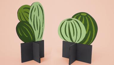 paper cactus